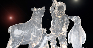 Animation sculpture sur glace pour événement de Noël !