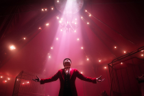 Spectacle de magie féérique pour Arbre de Noël !