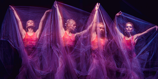 Meilleurs spectacles de danse enfants pour spectacle de Noël ou autre événement !