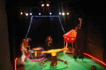Cirque en salle