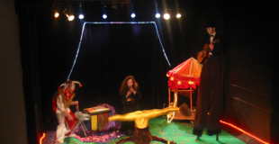 Cirque en salle