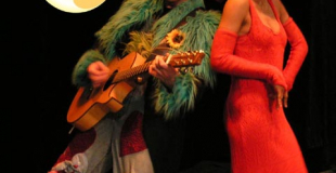 Duo de musiciens / chanteurs pour enfants