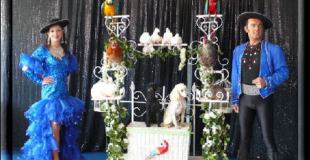 Cirque et animaux