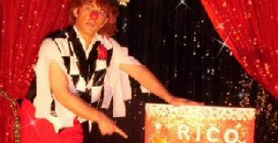 Clown de cirque