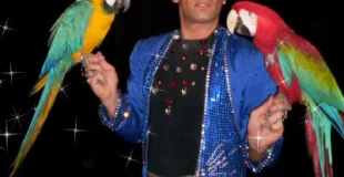 Cirque et perroquet