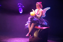 Spectacle de magie féérique