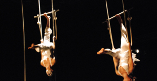 Cirque avec numéro aérien