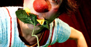 Clown au féminin
