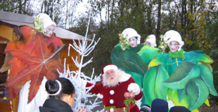 Echassiers thème Noël