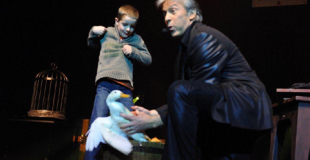 Spectacle de magie pour Arbre de Noël